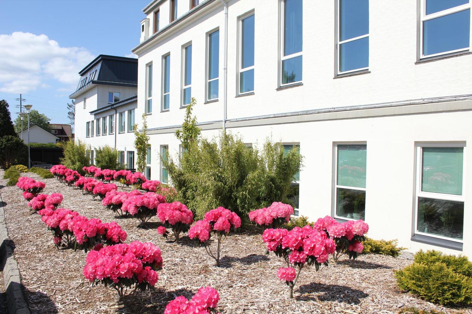 Solborg Folkehogskole Hostel Ставангер Екстериор снимка